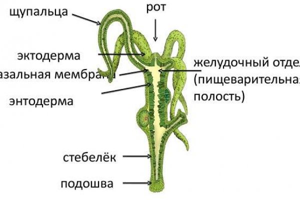 Новый адрес кракен
