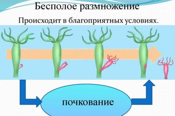 Кракен зайти