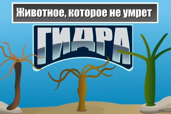 Kraken это