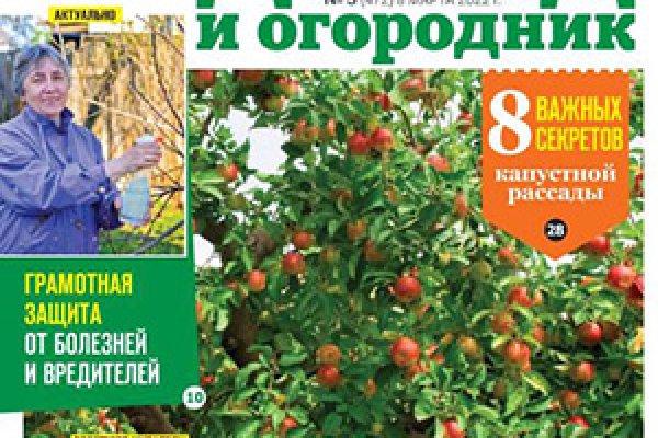 Кракен супернет только через тор скачать
